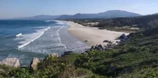 Parque Estadual do Rio Vermelho ao lado da praia