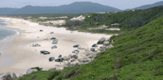 Praia do Moçambique vista de cima do morro; na faixa de areia tem carros