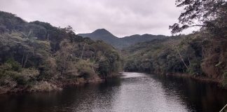 rio vargem do braço normalizado com mata em volta mostra condição hídrica em santa catarina melhor, mas ainda em atenção