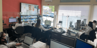 Cartórios abrirão em SC durante período de carnaval: trabalhadores em frente aos seus computadores trabalhando em um cartório do estado