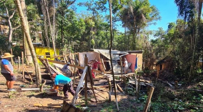 casas demolidas com operários trabalhando na retirada do material em meio à mata