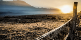 La Niña: frio chegou antes em Santa Catarina