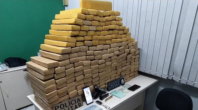 pilha de tabletes de maconha em apreensão na grande florianópolis