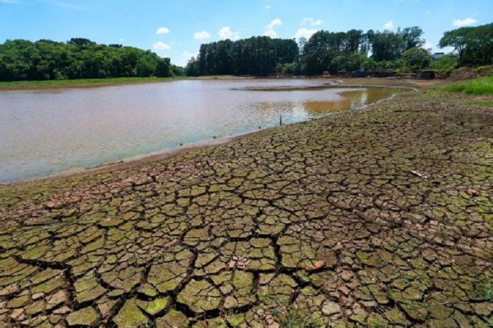 Ao fundo árvores, o dia é ensolarado, no chão em destaque o solo seco com água recuada ao fundo. Santa Catarina vive o agravamento da seca, de acordo com o boletim hídrico.