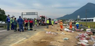 diversos profissionais de resgate na pista da br onde está espalhada carga de grãos após acidente em palhoça que matou dois caminhonheiros