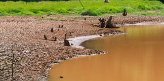 Chuvas mal distribuídas mantêm agravamento da estiagem em SC