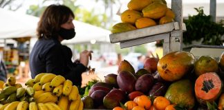 feiras de orgânicos - política de economia solidária em santa catarina