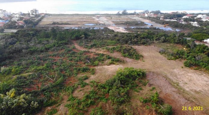 área da construção do loteamento no sul da ilha, com partes de mata e clareiras