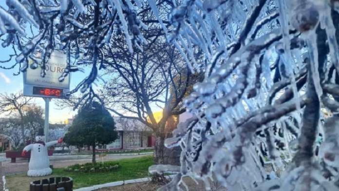 Previsão de neve em Santa Catarina entre quarta e quinta-feira - galhos congelados na praça de são joaquim com termômetro marcando -6º