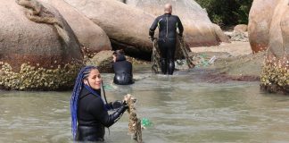 mulher sainda água com outros mergulhadores em bombinhas carregando lixo retirado do mar em bombinhas