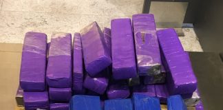 pacotes com a droga embalada - Duas "mulas" que tentavam transportar 42kg de maconha são presas no aeroporto de Florianópolis