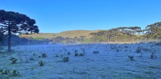 Serra catarinense amanhece com temperaturas negativas