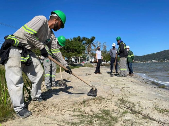 Lagoa da Conceição: Casan inicia recuperação da lagoa de evapoinfiltração - operário usa uma enxada na limpeza da orla da lagoa observado por engenheiros da companhia