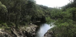 Cachoeira do Jarrão – Palhoça/SC.