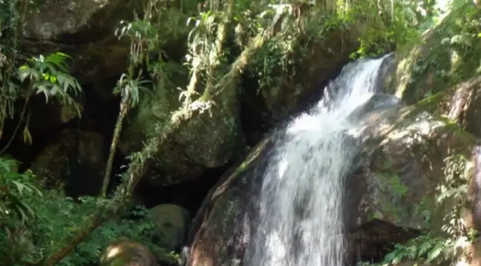 três homens em cachoeira - Municípios da Grande Florianópolis terão plano integrado de turismo