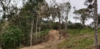 Pequenas propriedades rurais de SC não precisam fazer recuperação ambiental