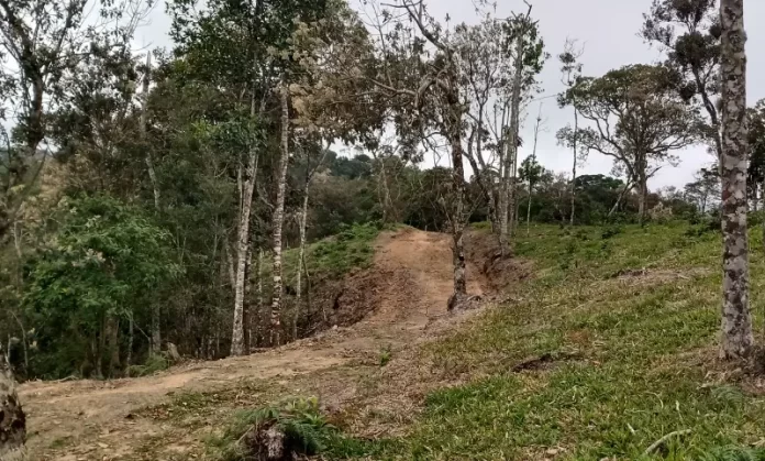 Pequenas propriedades rurais de SC não precisam fazer recuperação ambiental