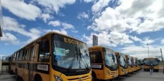 ônibus escolares estacionados alinhados