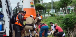 equipes de resgate retirando corpo ao lado de barrando com árvores - Motociclista morre em frente ao posto policial da SC-401