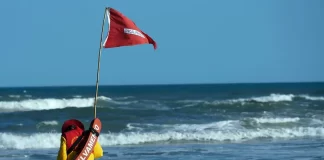 salva vidas coloca bandeira vermelha na praia do campeche em florianópolis