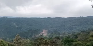 natureza catarinense será reduzida com novo código ambiental