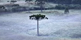 neve em São Joaquim