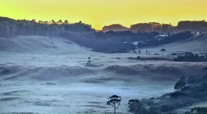 geada em santa catarina