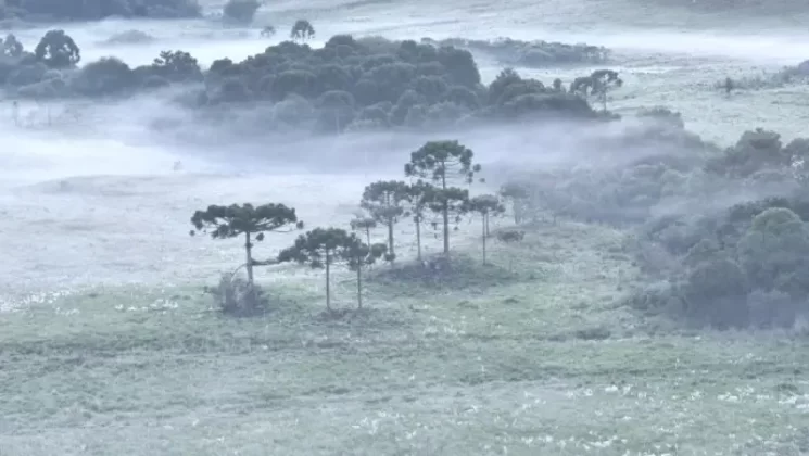 Frio em Santa Catarina - alerta de chuva e temperaturas baixas