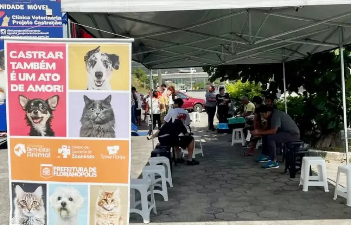 Florianópolis realiza mutirão de castrações no bairro Ingleses nesta semana