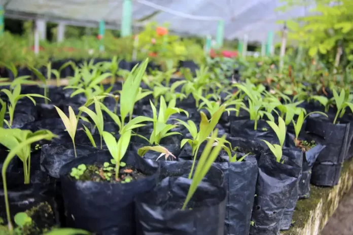 São José promove Semana de Conscientização do Meio Ambiente