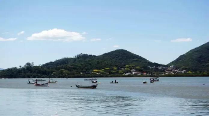 monitoramento de águas da baía norte, próximo ao MOnte Verde