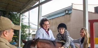 Cavalos resgatados das ruas viram aliados da equoterapia