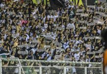 Torcida do Figueirense