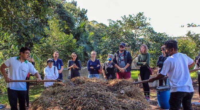 Pátios de compostagem em Florianópolis processam 70 toneladas por mês