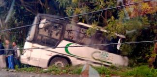 ônibus de empreiteira desceu desgovernado e caiu em barranco