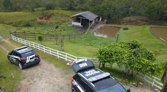 Polícia interrompe encontro de neonazistas na Grande Florianópolis