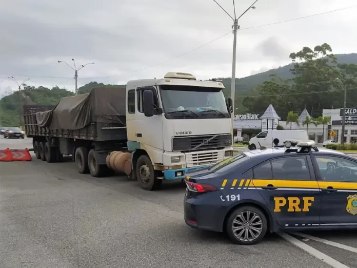 Carga ilegal de madeira amazônica é apreendida em SC