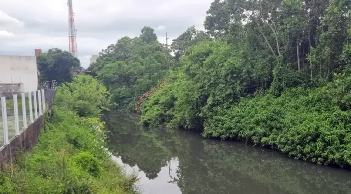 Poluição no Rio Araújo