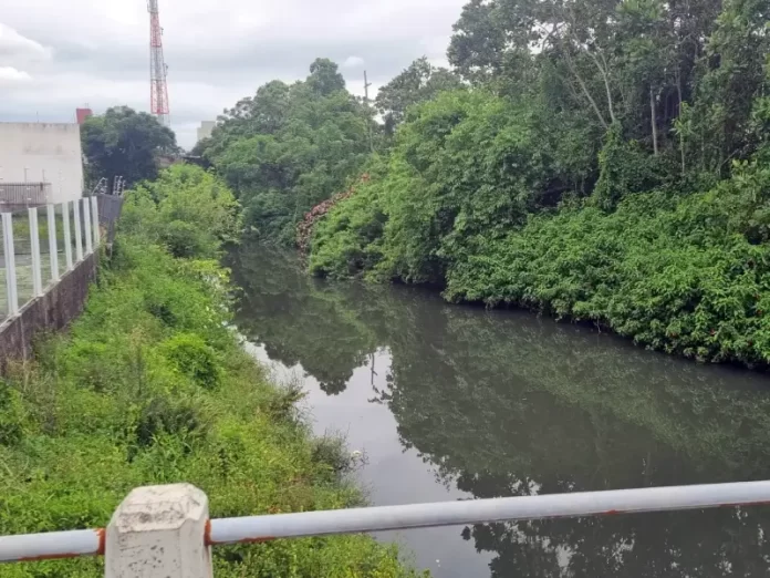 Poluição no Rio Araújo