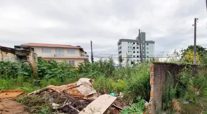 Até 1,7 mil proprietários de terrenos baldios em São José são notificados para limpeza