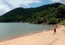 Praia dos Cedros