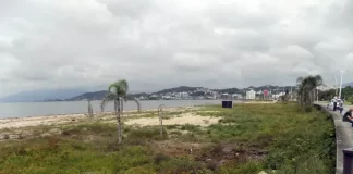 40 mudas de árvores são plantadas na Beira-mar de São José