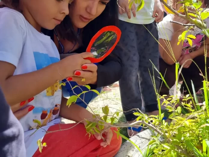 Escolas de São José mobilizadas contra o mosquito da dengue