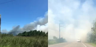 Grande incêndio atinge Parque do Tabuleiro e interdita rodovia