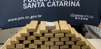 50 quilos de maconha apreendidos em São José