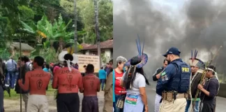 Indígenas fecham BR-101 em Palhoça contra marco temporal