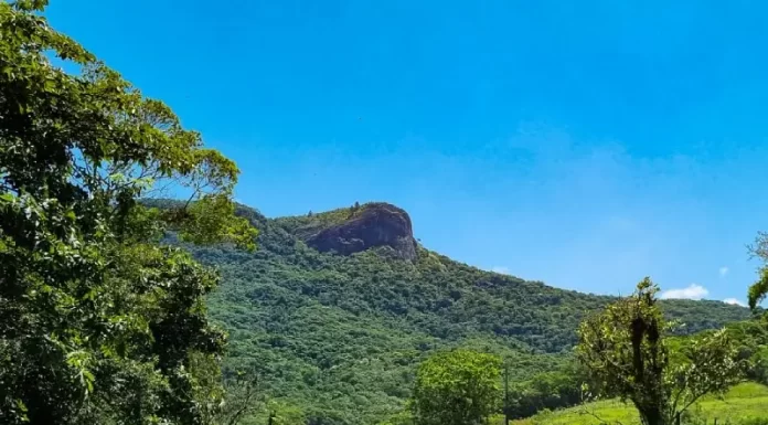 Morro da Pedra Branca