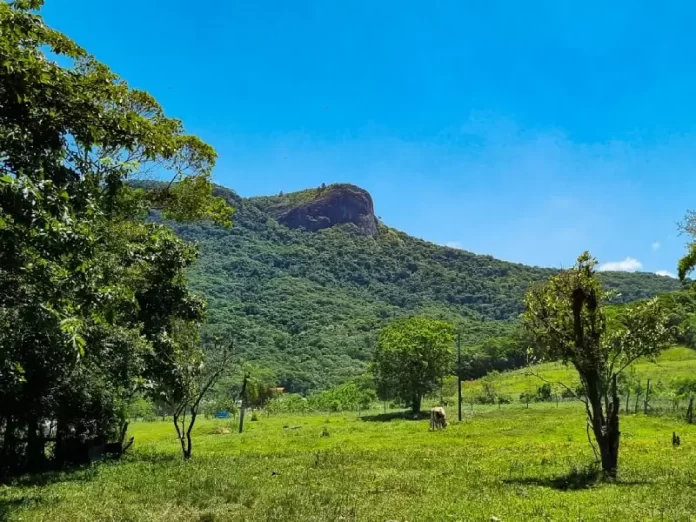 Morro da Pedra Branca