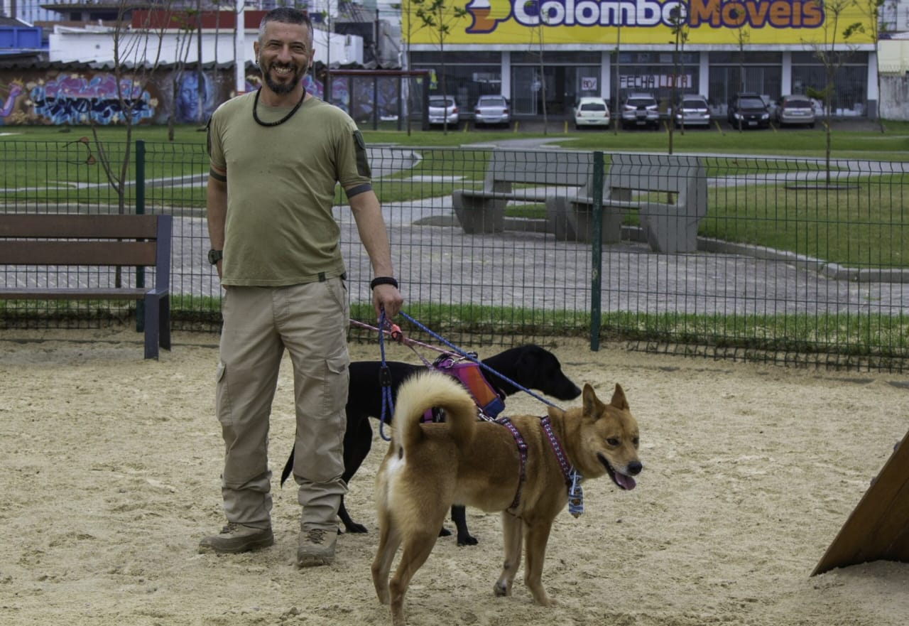 Cães resgatados São José são colocados para adoção