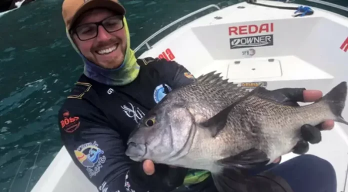 Corpo de pescador desaparecido é encontrado no costão entre Ingleses e Santinho